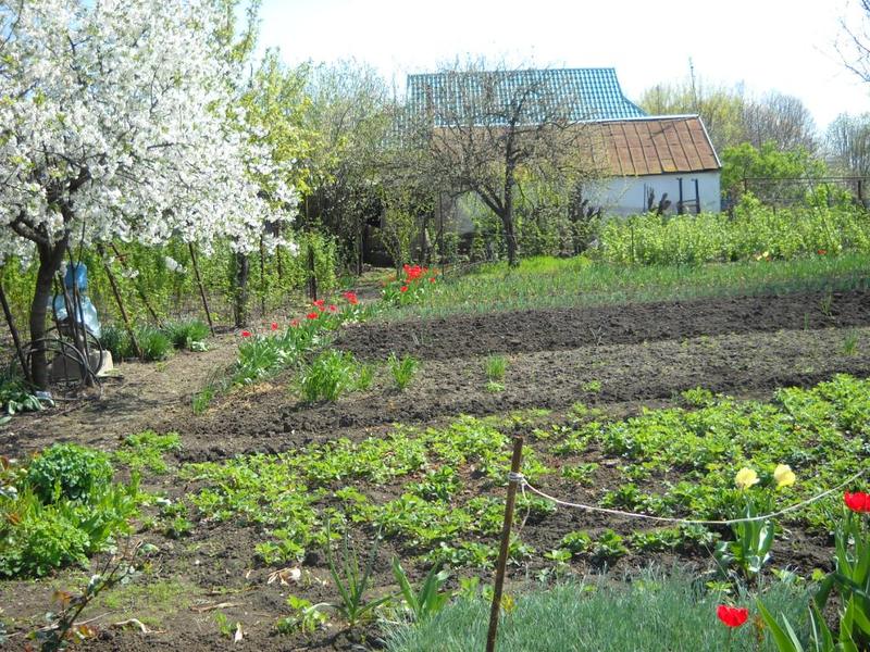 Купить Дом В Ст Старомышастовская Краснодарского