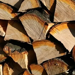 Колотые дрова с доставкой (Дуб)