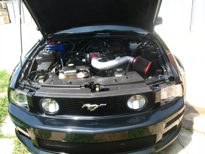 Fоrd Mustang Venom 2005 года выпуска 8