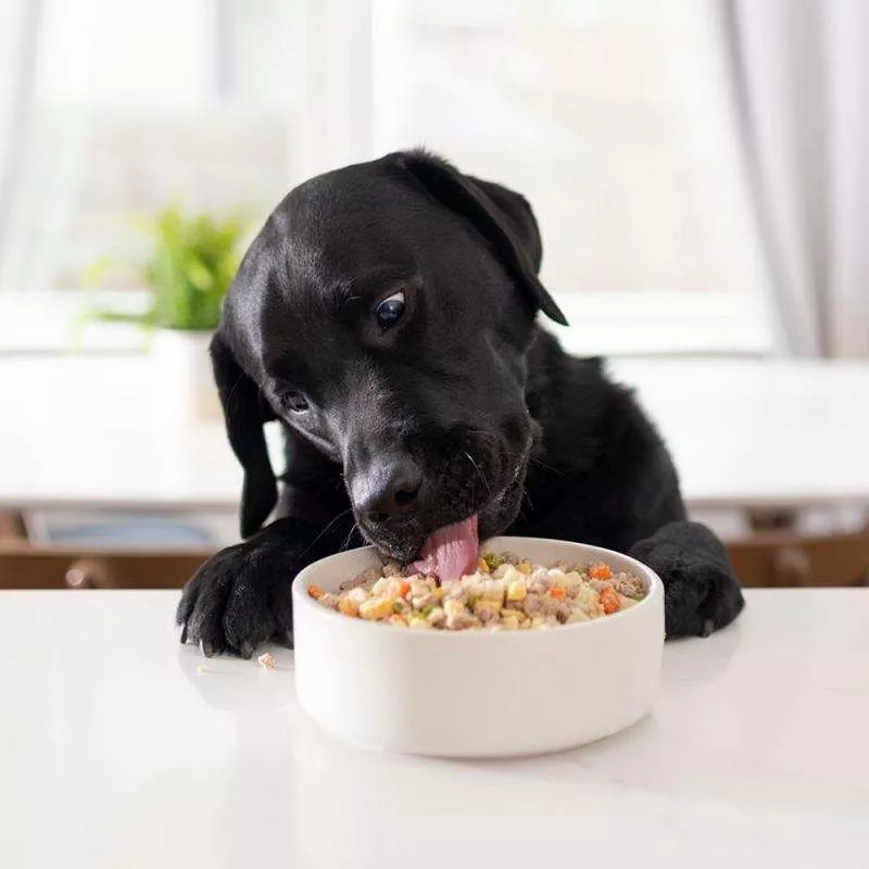 Наборы еды для собак,  подобранные по рекомендации диетолога  2