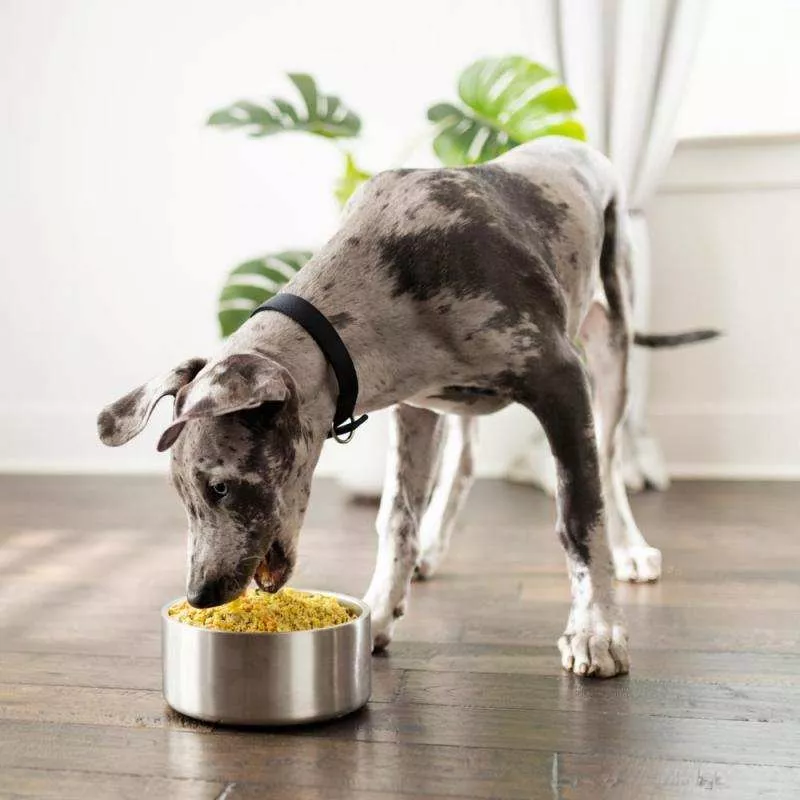 Наборы еды для собак,  подобранные по рекомендации диетолога  4