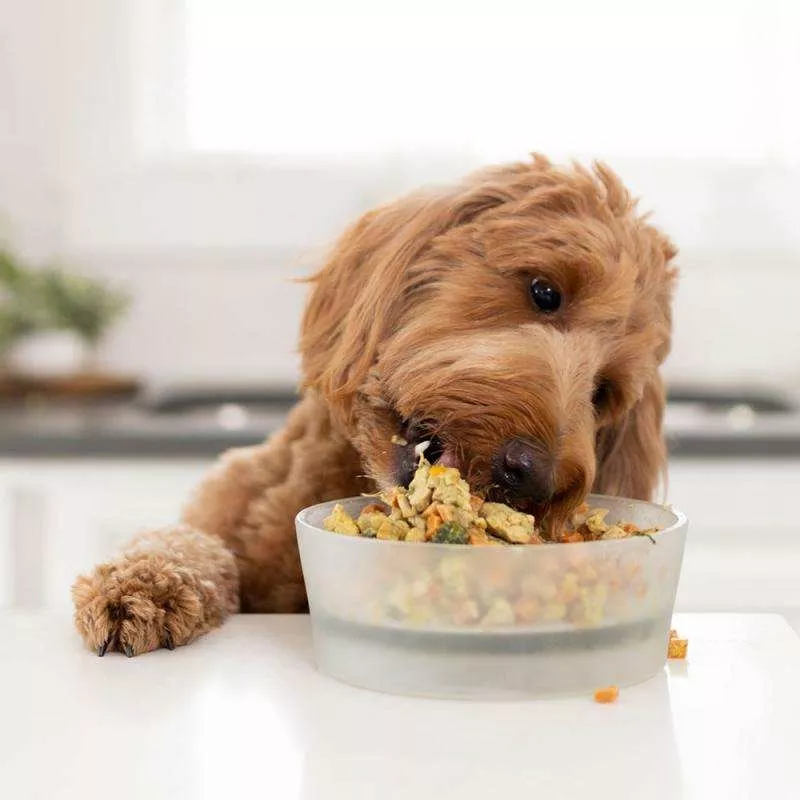 Наборы еды для собак,  подобранные по рекомендации диетолога  3